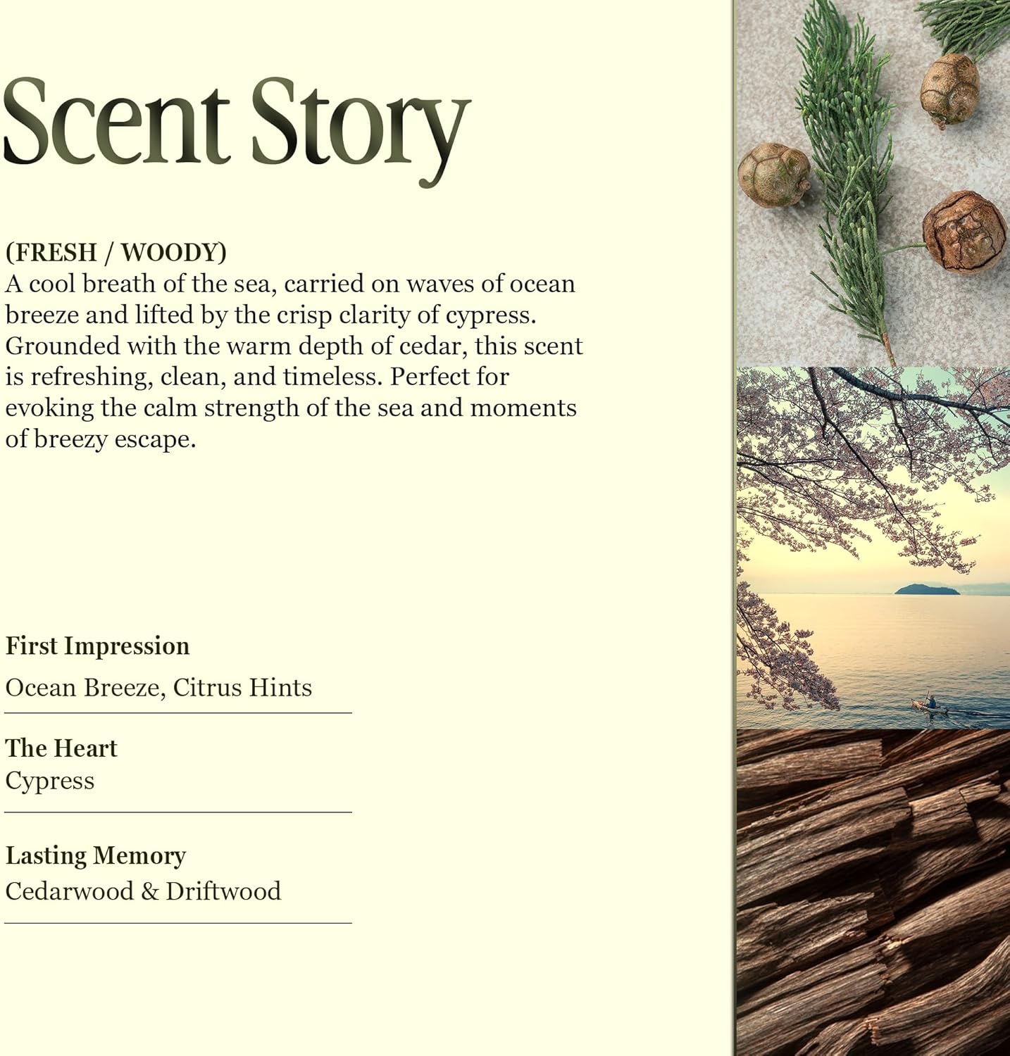 Scented Luxury Candles in Handmade Ceramic Jars, Soy Wax | Day On The Sea โ Cypress & Cedar, Large Candle | Non Toxic, 2 Wicks, Reusable Big Blue Jar | Natural Spring Aromatherapy for Women & Men