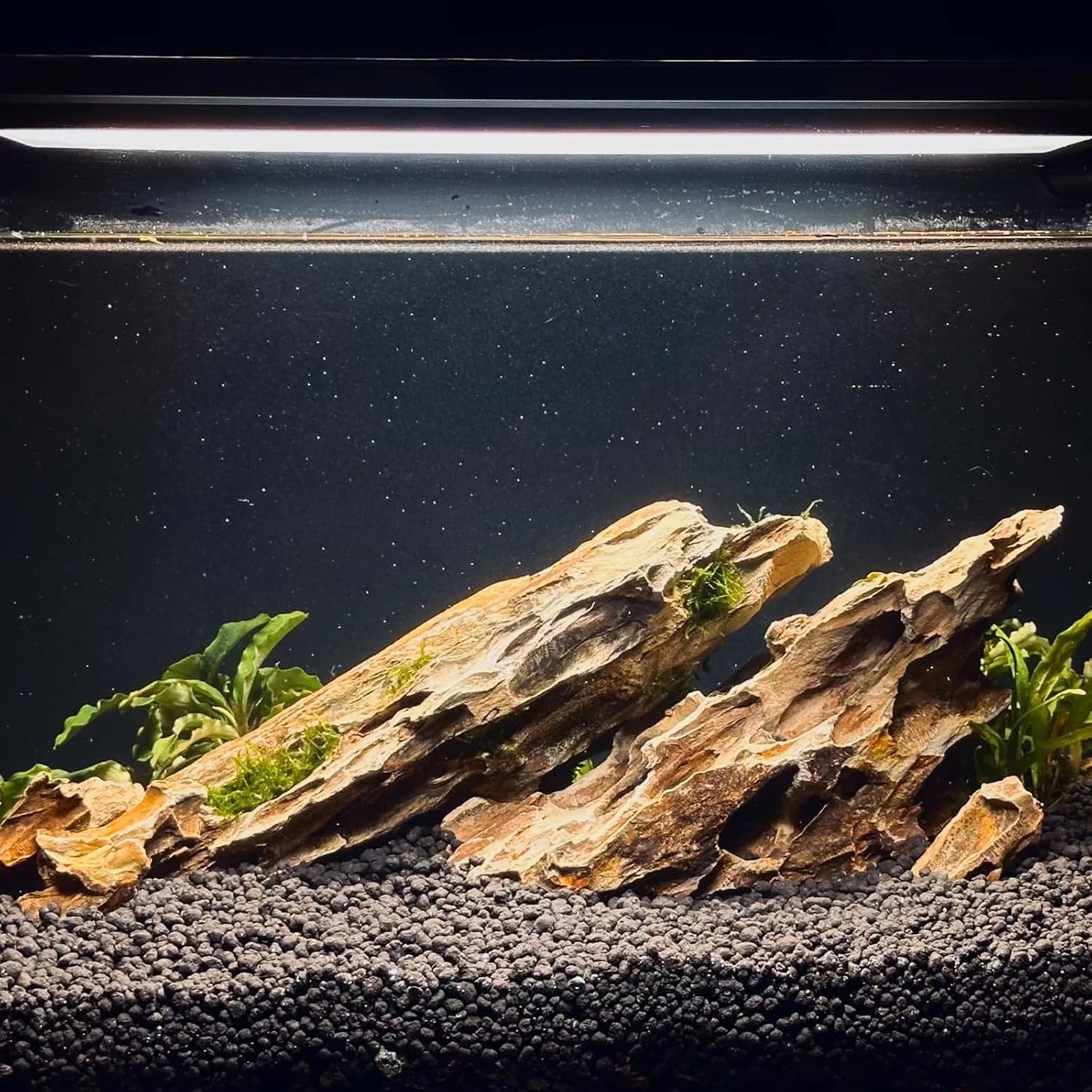 Dragon Rocks Aquariums Stones Natural Rocks for Aquascaping, Aquariums, Terrariums, Vivariums Decorative Stone,Reptile Enclosures,Paludariums,and Gardens-10LB(2 to 7 inch)