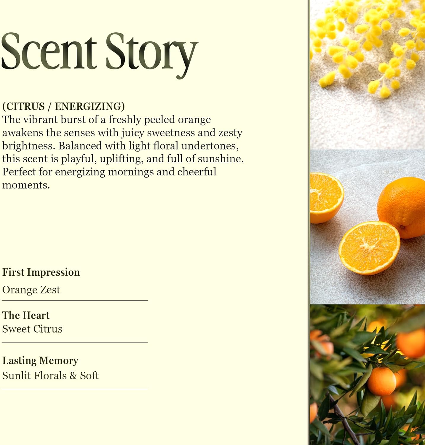 Scented Luxury Candles in Handmade Ceramic Jars, Soy Wax | Orange Blossom โ Orange & Mimosa, Large Candle | Non Toxic, 2 Wicks, Reusable Big Orange Jar | Natural Spring Aromatherapy for Women & Men