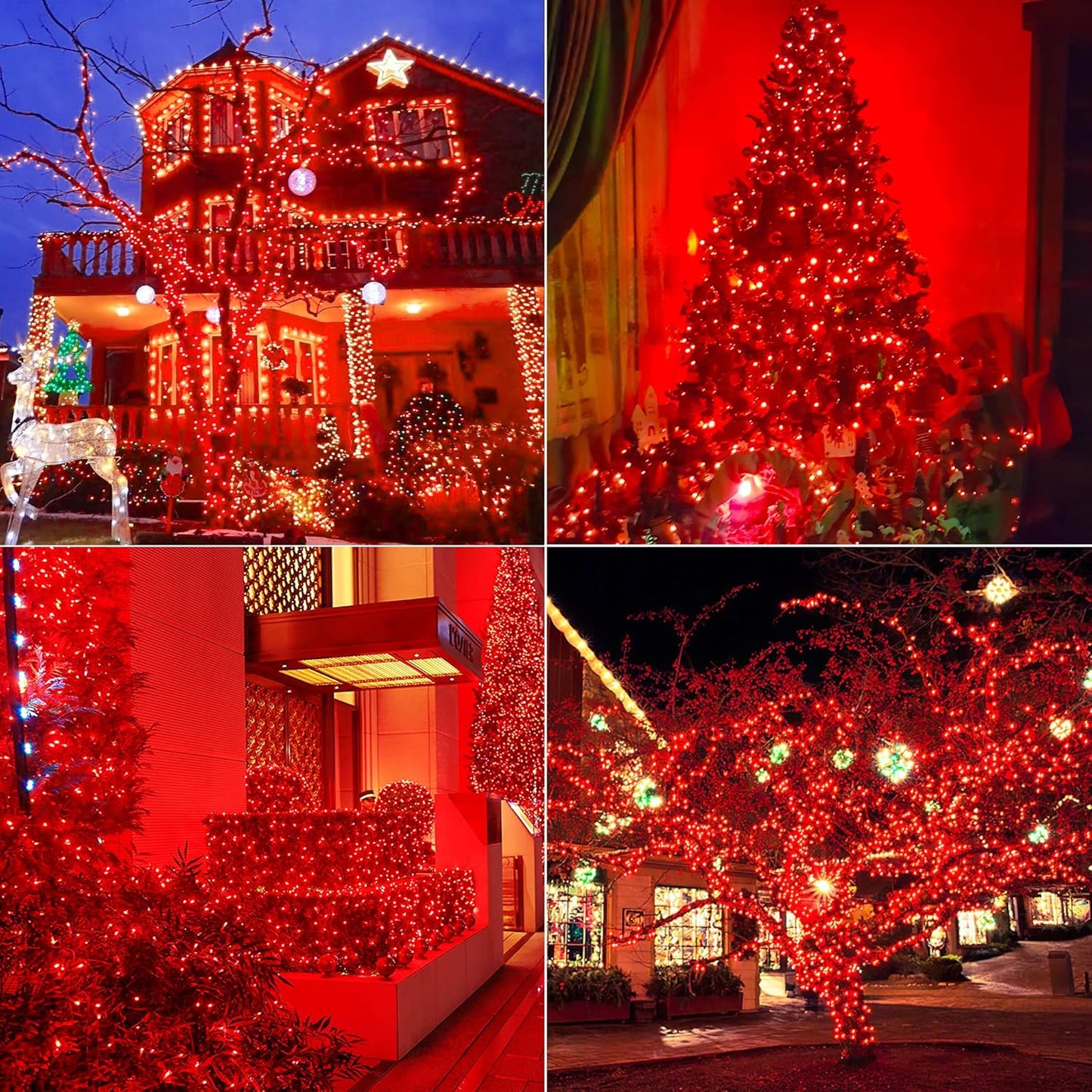 Hopolon 50 Red Christmas Lights, 2PACK Green Wire 13 Feet Long String Lights Set for Outdoor Indoor Dรฉcor, Valentines Day, Wedding, Halloween, Christmas Trees, Holiday Lighting Decor(2pcs Red)