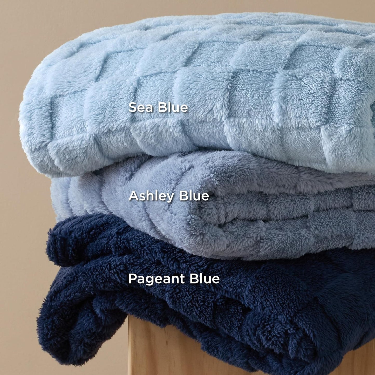 Bedsure GentleSoft Twin Blanket for Bed Light Blue - Super Soft Cozy Blankets for Women Men Girls, Cute Fuzzy Fleece Throws for Bedroom Couch, 60x80 Inches