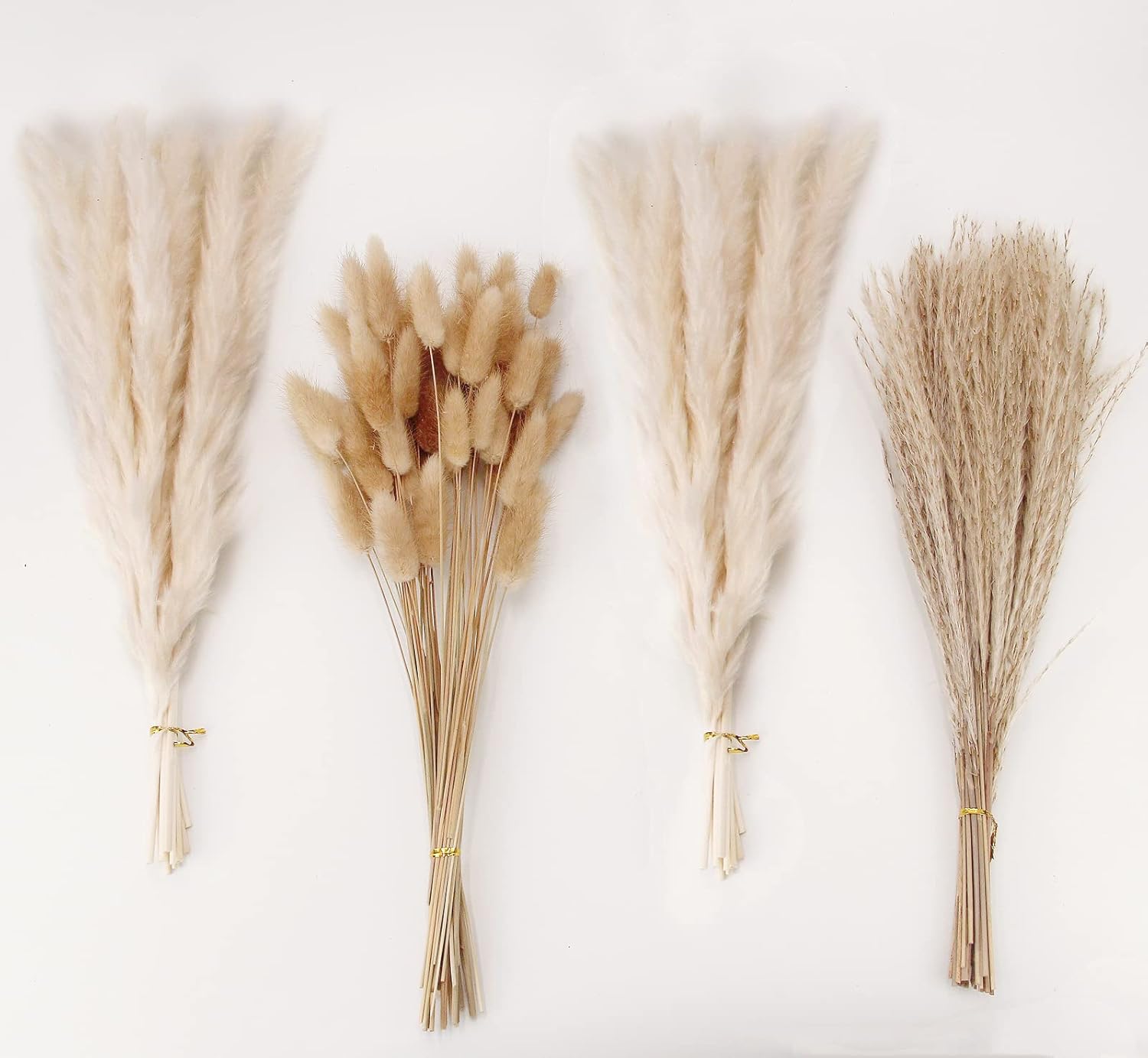 Dried & Preserved Flora