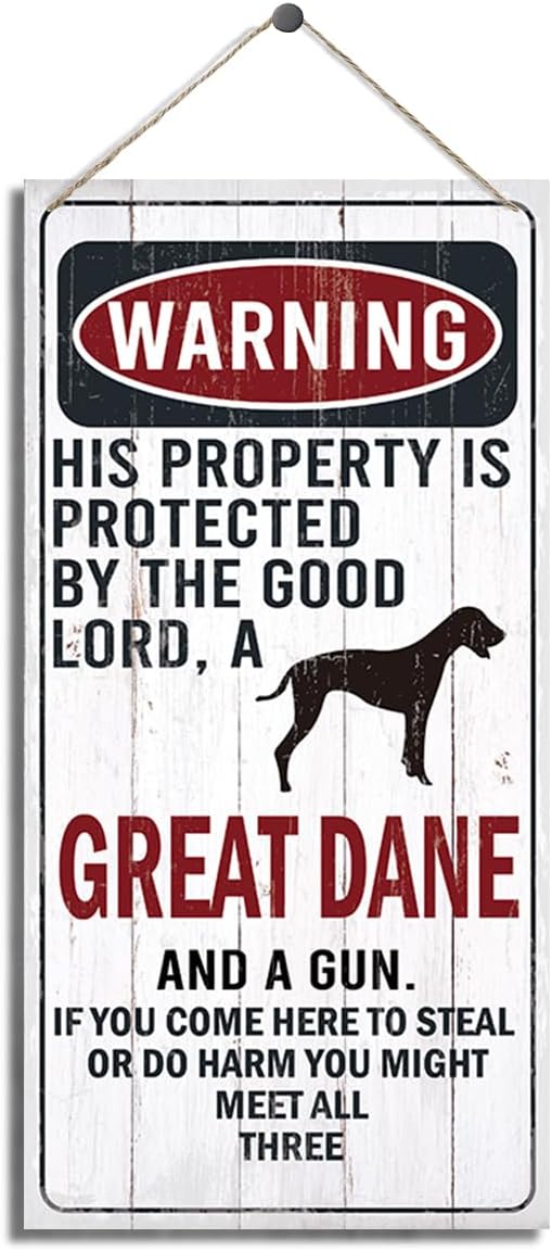 Warning Sign, This Property Is Protected By The Goodlord, A Great Dane And A Gun Warning Wood Plaque Sign, Funny Door Signs, Decorative Wood Hanging Suspension Plaque, Farmhouse Wooden Wall Decor