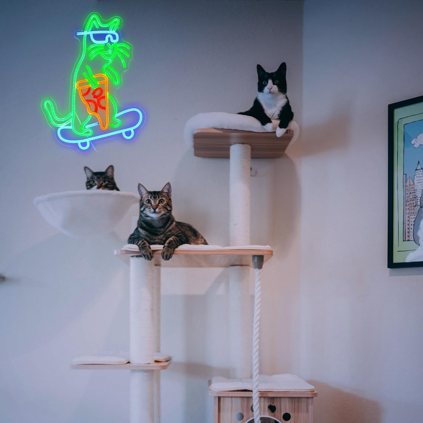 Skateboard Cat Neon Sign LED Cool Glasses Cat Neon Light for Wall Decor Pizza Neon Light Sign Dimmable USB Cat Pizza Light Up Sign for Bedroom Pizza Restaurant Pet Shop Gift (16.7 "*12.2 ")