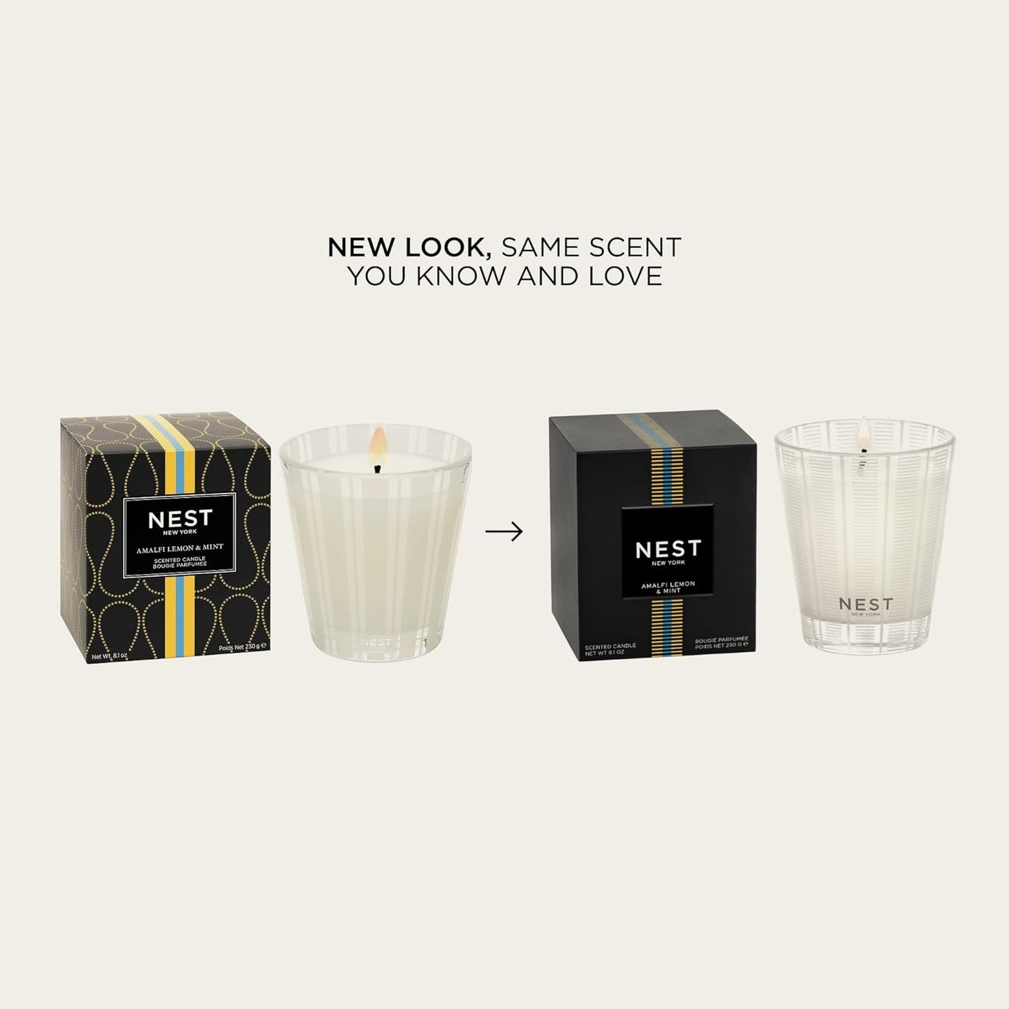 NEST New York Scented Classic Candle, Amalfi Lemon & Mint - 8.1 oz - Up to 60-Hour Burn Time - Reusable Glass Vessel