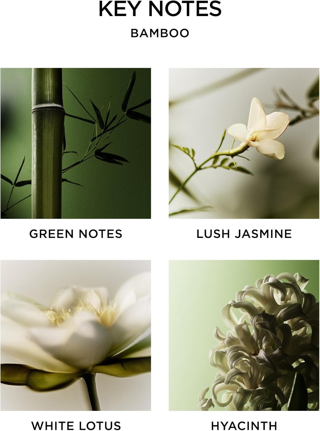 NEST New York Scented Classic Candle, Bamboo - 8.1 oz - Up to 60-Hour Burn Time - Reusable Glass Vessel