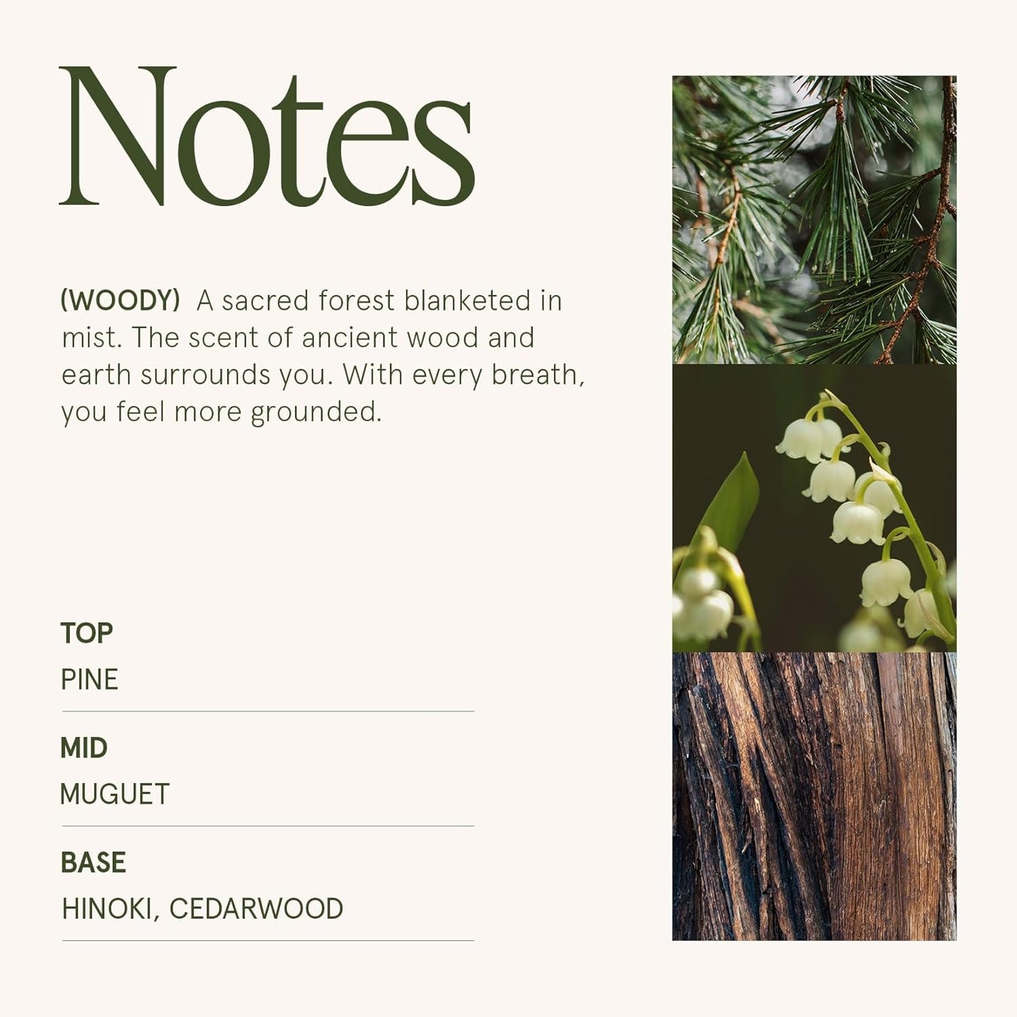 LA JOLIE MUSE Kōya Hinoki & Cypress Scented Candle – Pine, Leather & Hinoki | 19 oz Festive Christmas Candle | Wooden Wick | Clean Burn & Vibrant Scent | Fun Gift for Hosts & Fall Tablescapes