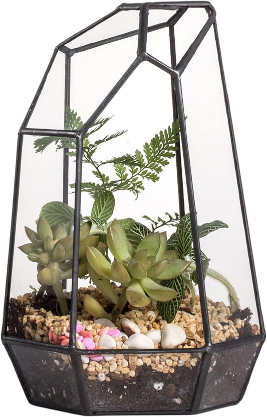 NCYP Small Glass Geometric Terrarium - 4.9 x 3.9 x 7.4 Inches Irregular Clear Planter Pot for Succulents, Cactus, Indoor Garden Tabletop Decoration, Centerpiece (No Plants, No Door)