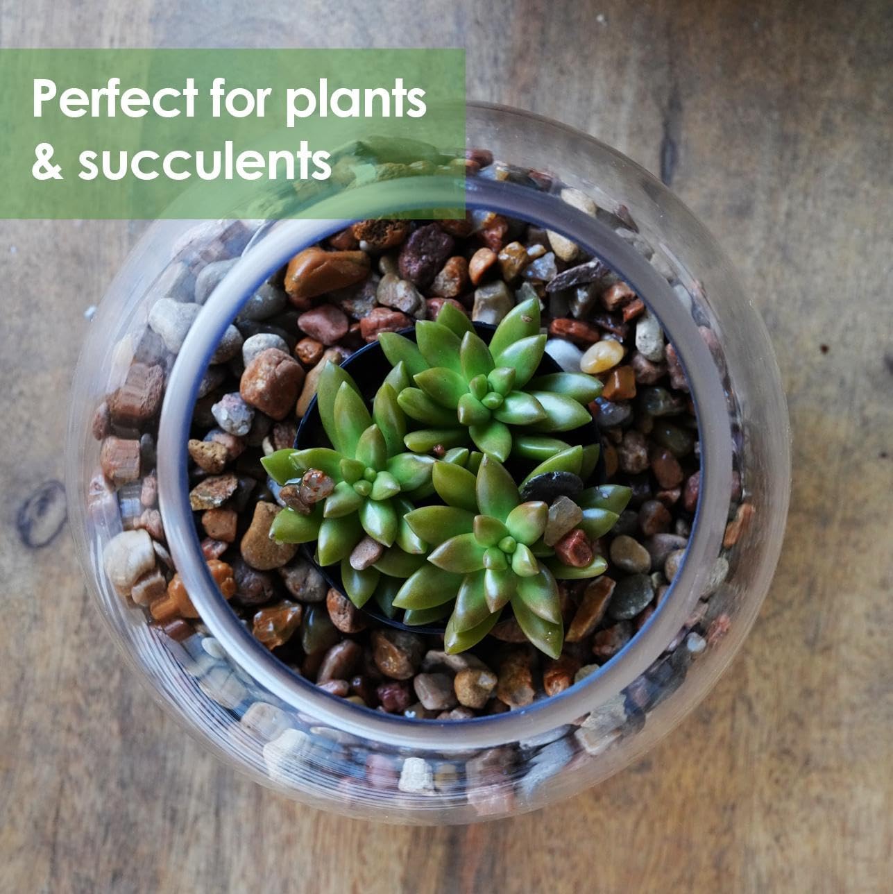 Craft And Party, Glass Bubble Vase, 8" Height x 10" Width Glass Fish Bowl, Bubble Bowl for Terrarium, Flower Centerpiece