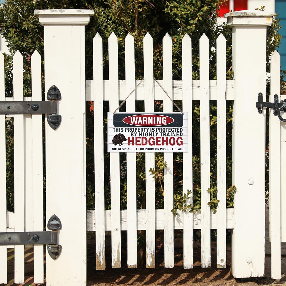 Warning Signs - Highly Trained Hedgehog Plaque, Decorative Wood Hanging Sign for Yard, Street, Garden, Garage, Outdoor, Home