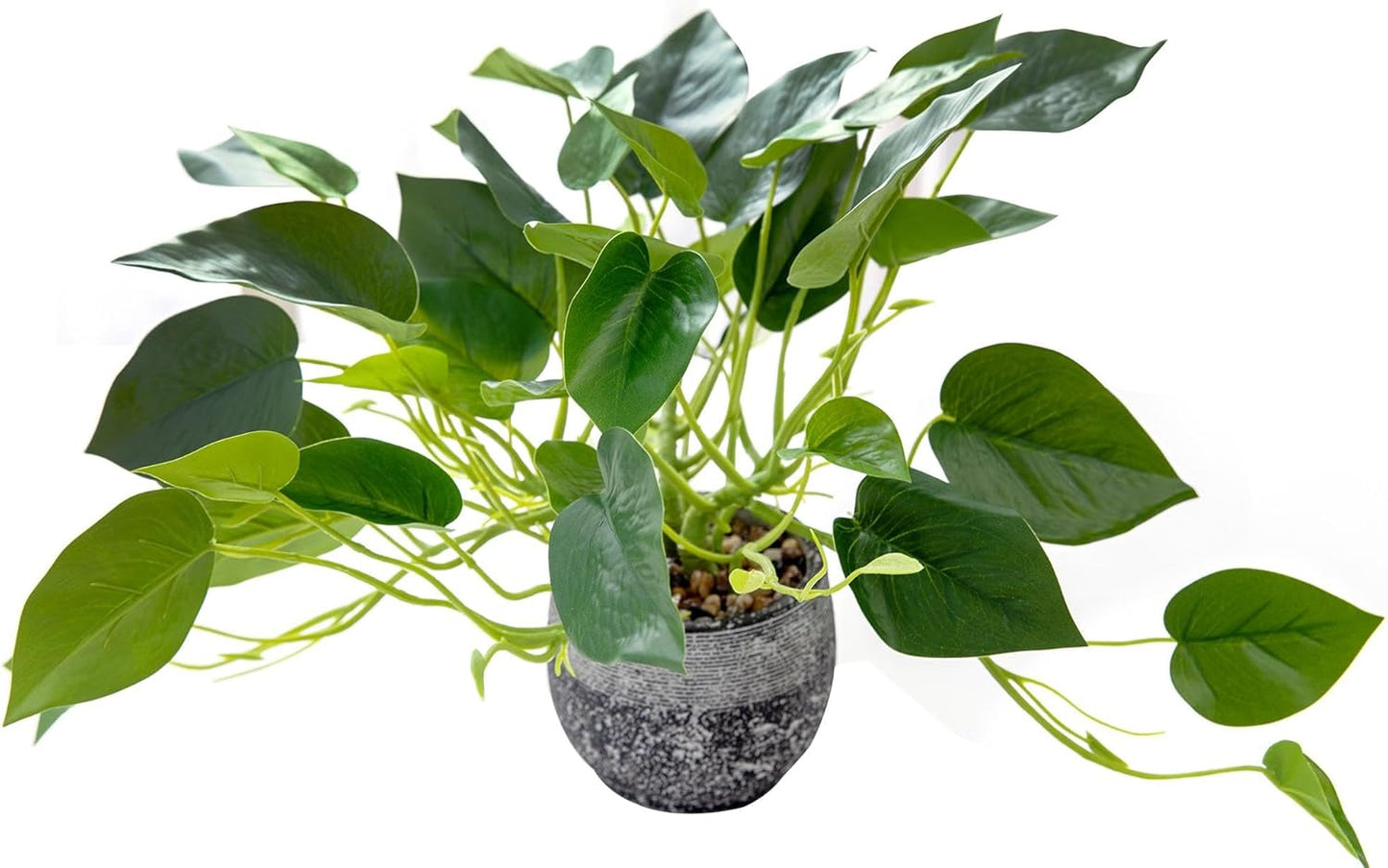 AlphaAcc Artificial Plants Potted Real Looking Small Faux Plant with Rustic Black Cement Planter for Kitchen Office Desk Bookshelf Decor (Ivy Plant)