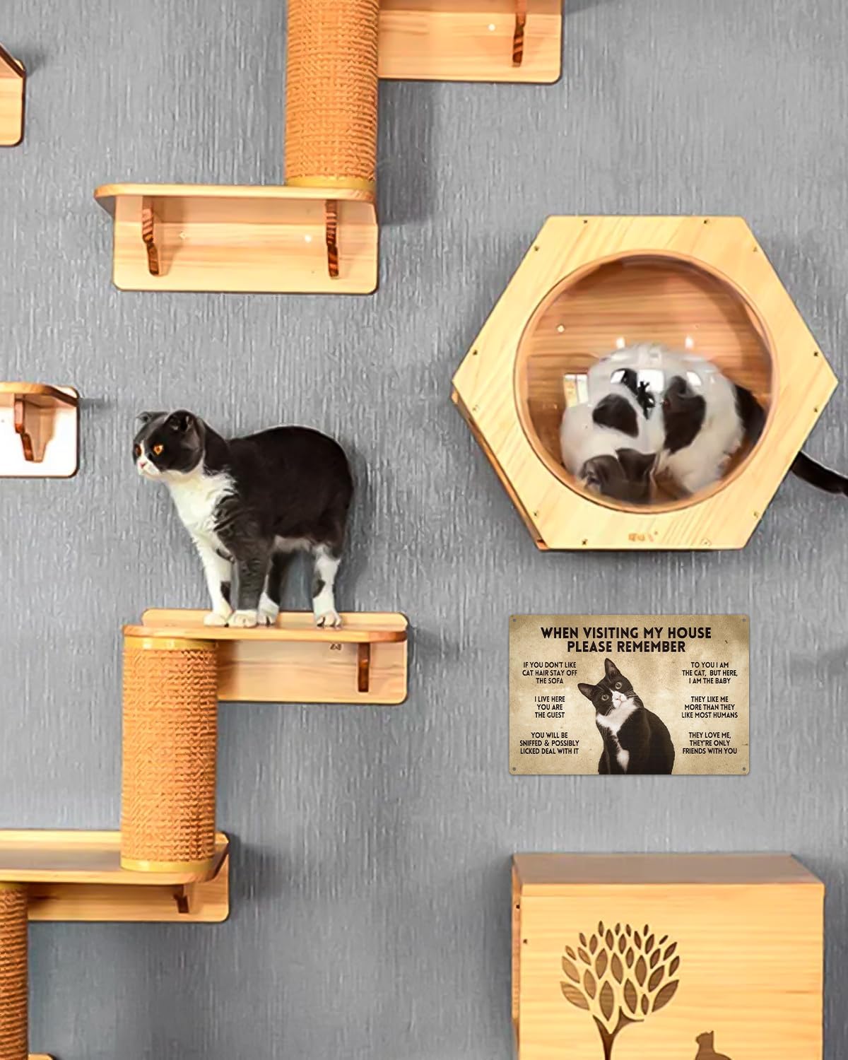 ALKB Funny Tuxedo Cat-Themed Sign 8x12 Inch - Visitor’s Guide to Interacting with Cats - Gift for Cat Lovers’ Home Decor