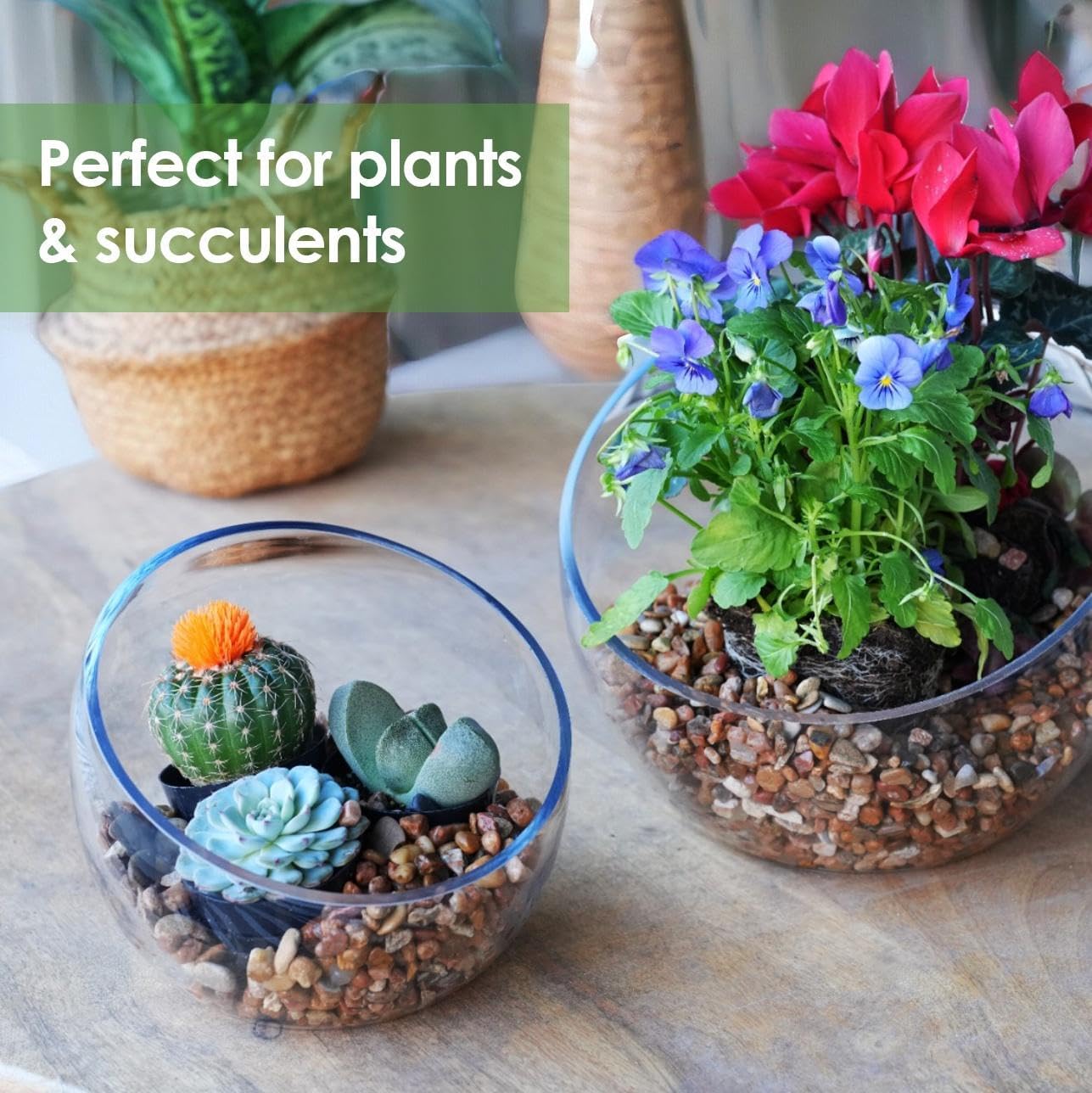 Craft And Party, Slantted Glass Cut Bubble Bowl, 6" Height x 7" Width Slantted Bubble vase for Terraium, Flower vase Centerpiece, Set of 4