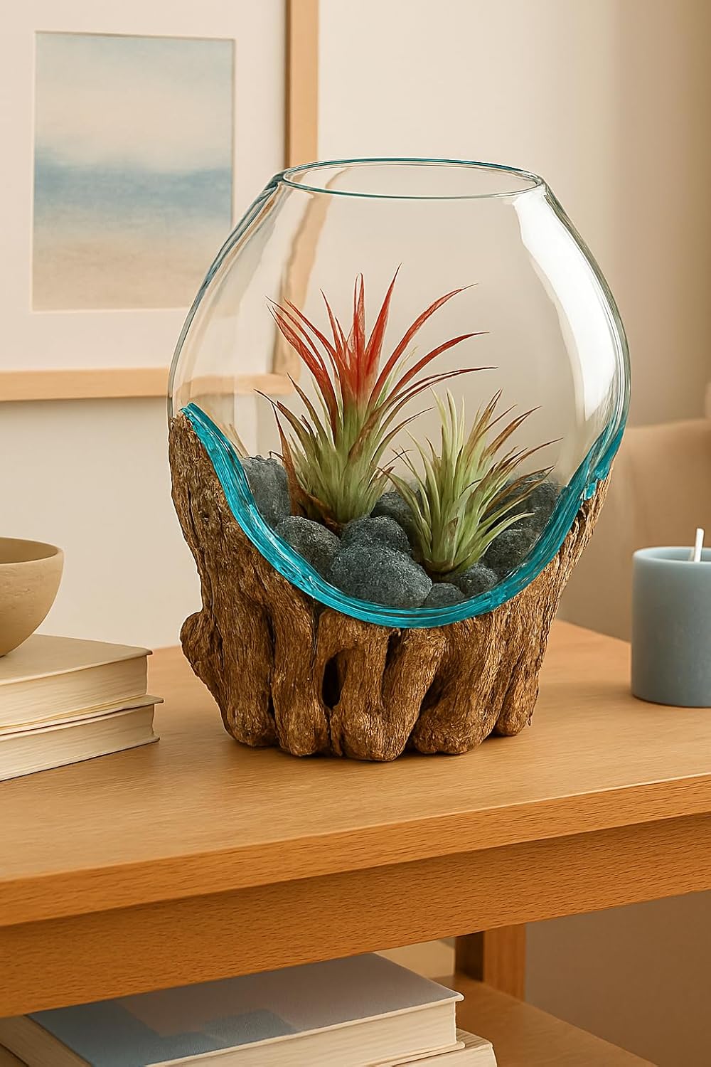 OMA Molten Glass on Driftwood – Hand Blown Vase, Terrarium, or Planter for Coastal & Boho Home Décor Centerpieces (6" - 7" High)