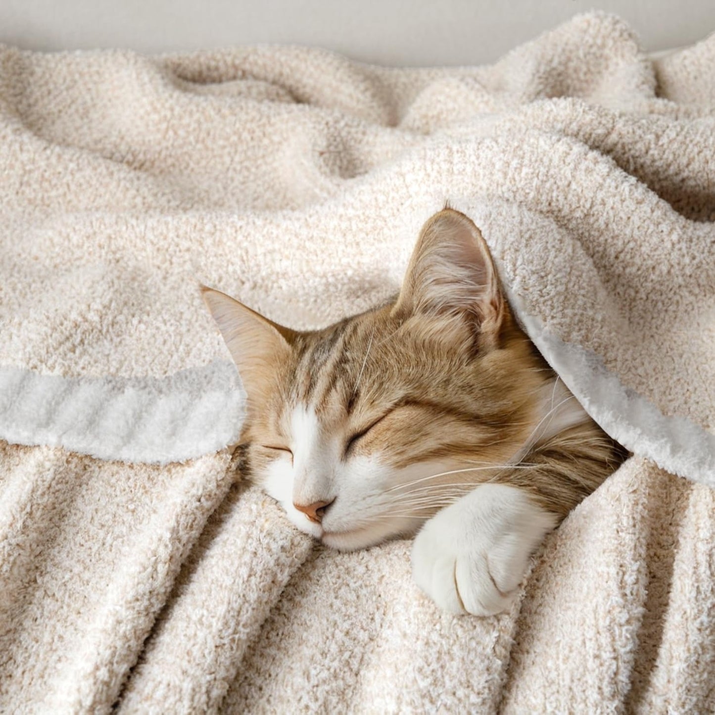 MIULEE Cream Super Soft Throw Blanket for Bed, Twin Size Cozy Fluffy Warm Blankets Knit Blankets for Couch, Sofa, Chair, Living Room, Camping, Picnic, 60 x 80 inch