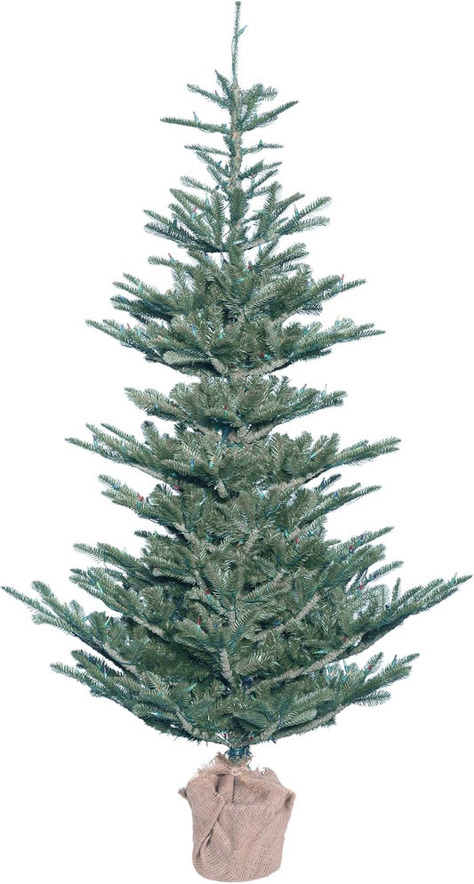 Vickerman G160450 Alberta Blue Spruce Christmas Tree