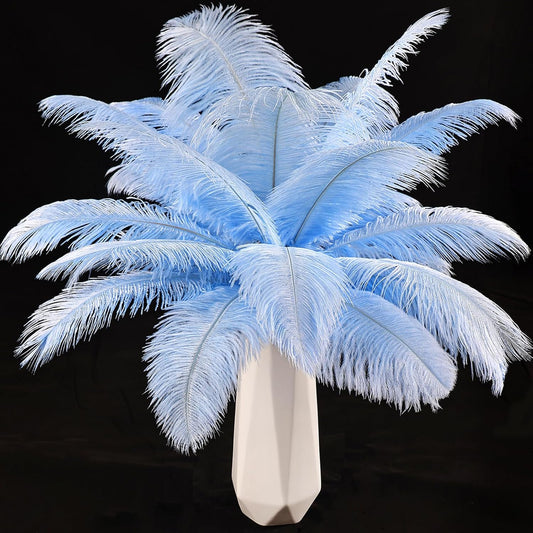 THARAHT Baby Blue Ostrich Feathers 24pcs Natural Bulk 10-12Inch 25cm-30cm for Crafts Wedding Party Centerpieces Easter Gatsbi and Home Decoration Feathers