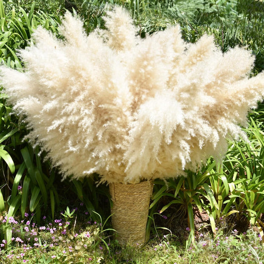 40" 33PCS Dried Pampas Grass Decor Tall,Large Natural Beige pompas Grass Tall Pampas Grass for Floor Vase,Wedding,Party,Farmhouse,Boho Home Decor,and Creating a Bohemian Ambiance