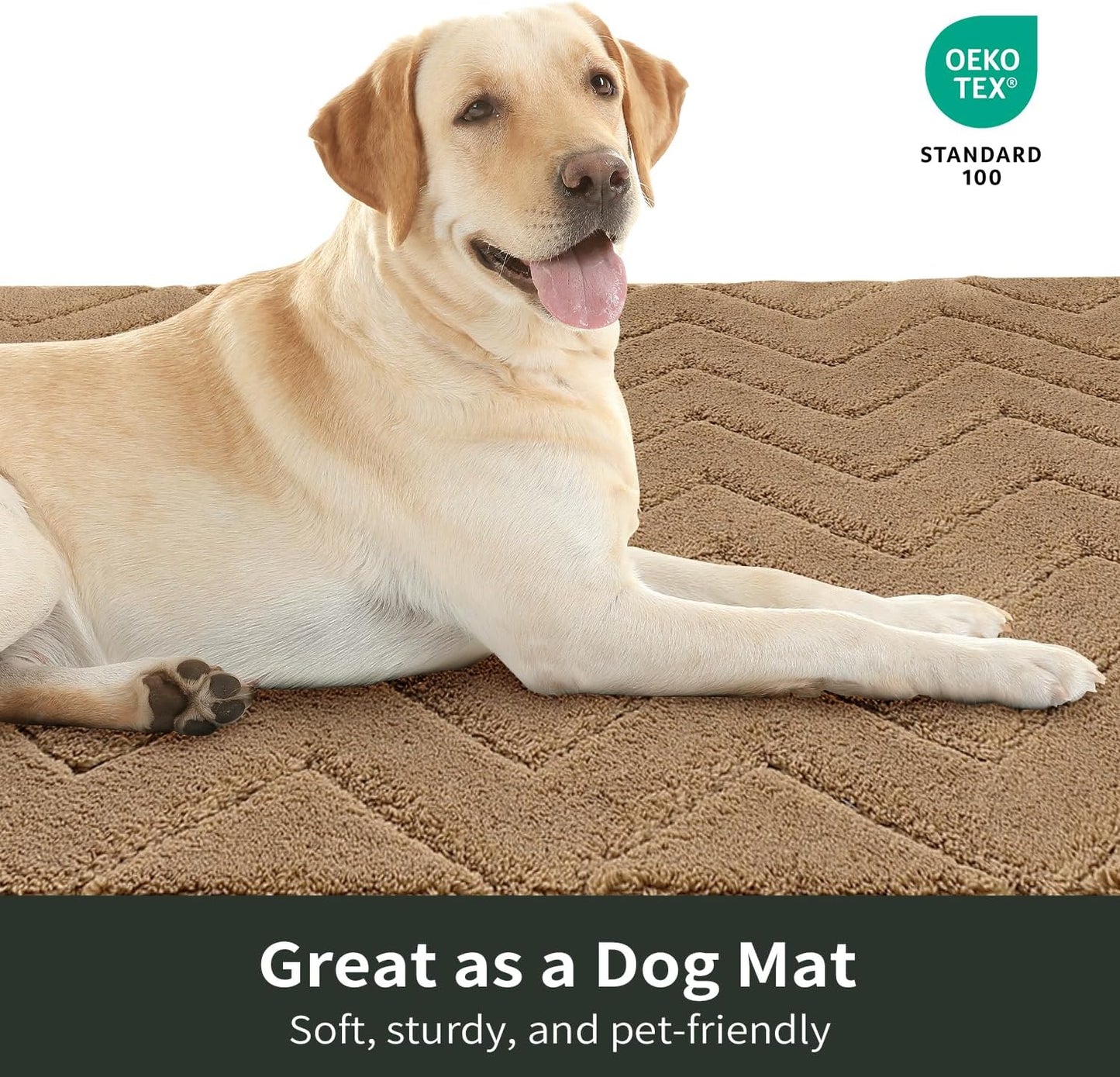 Stiio Front Door Mat Indoor Outdoor Entrance 20x31.5 Inches, Non Slip Washable Entry Rug, Dog Doormat, Absorbent Entrance Mat for Front & Back Door, Muddy Wet Shoes & Paws, Brown