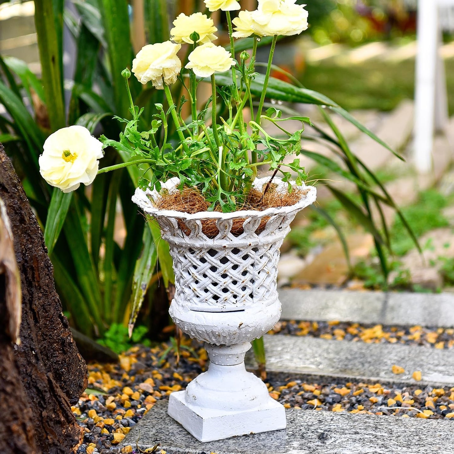 Sungmor Heavy Duty Cast Iron Urn Planter, Beautiful Hollow Trophy Design Tall Orchid Flower Pot, Large Decorative Plastic Flowers Plants Bouquets Vase, Rustic French Country Pot for Home or Garden