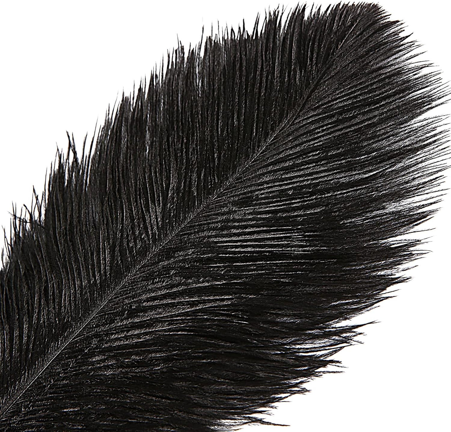 THARAHT Black Ostrich Feathers 12pcs Large Natural Bulk 20-22Inch 50cm-55cm for Wedding Party Centerpieces Halloween and Home Decoration Feathers