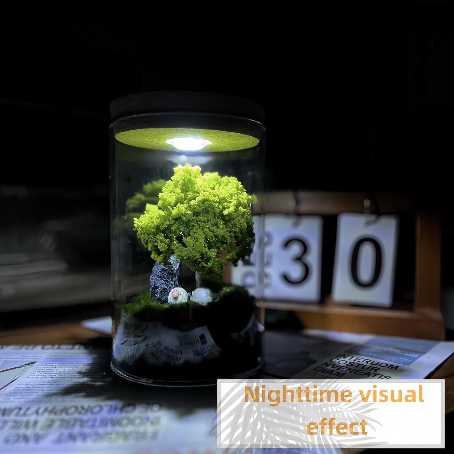 Oakwell Eternal Nature Desktop Ornament, a Miniature Scene Model with LED Light, a Gift for Yourself and Friends, Suitable for Decorating Scenes Such as Office Desks, Closets, Bedrooms, etc.