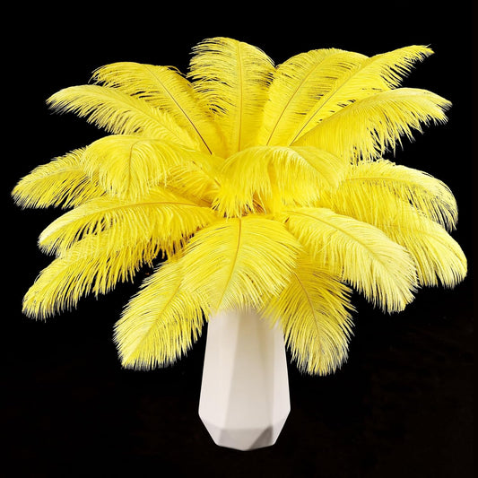 THARAHT Yellow Ostrich Feathers 12pcs Natural Bulk 8-10Inch 20cm-25cm for Crafts Wedding Party Centerpieces Halloween and Home Decoration Feathers
