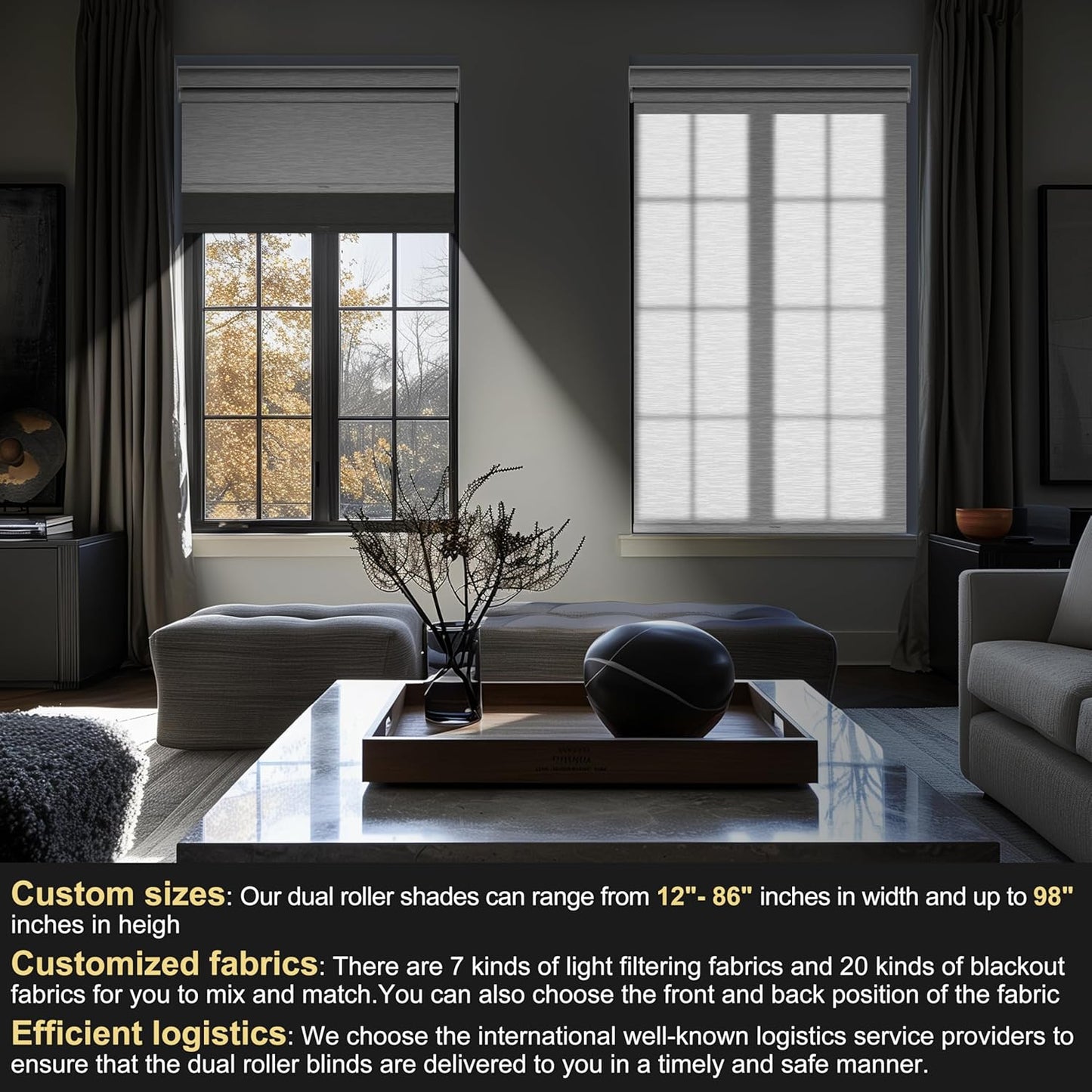 BERISSA Cordless Dual Roller Shades with Cassette Valance, Double Window Shades Blackout and Light Filtering, Day and Night for Home Office Door. Grey and White. 74 W x 56" H