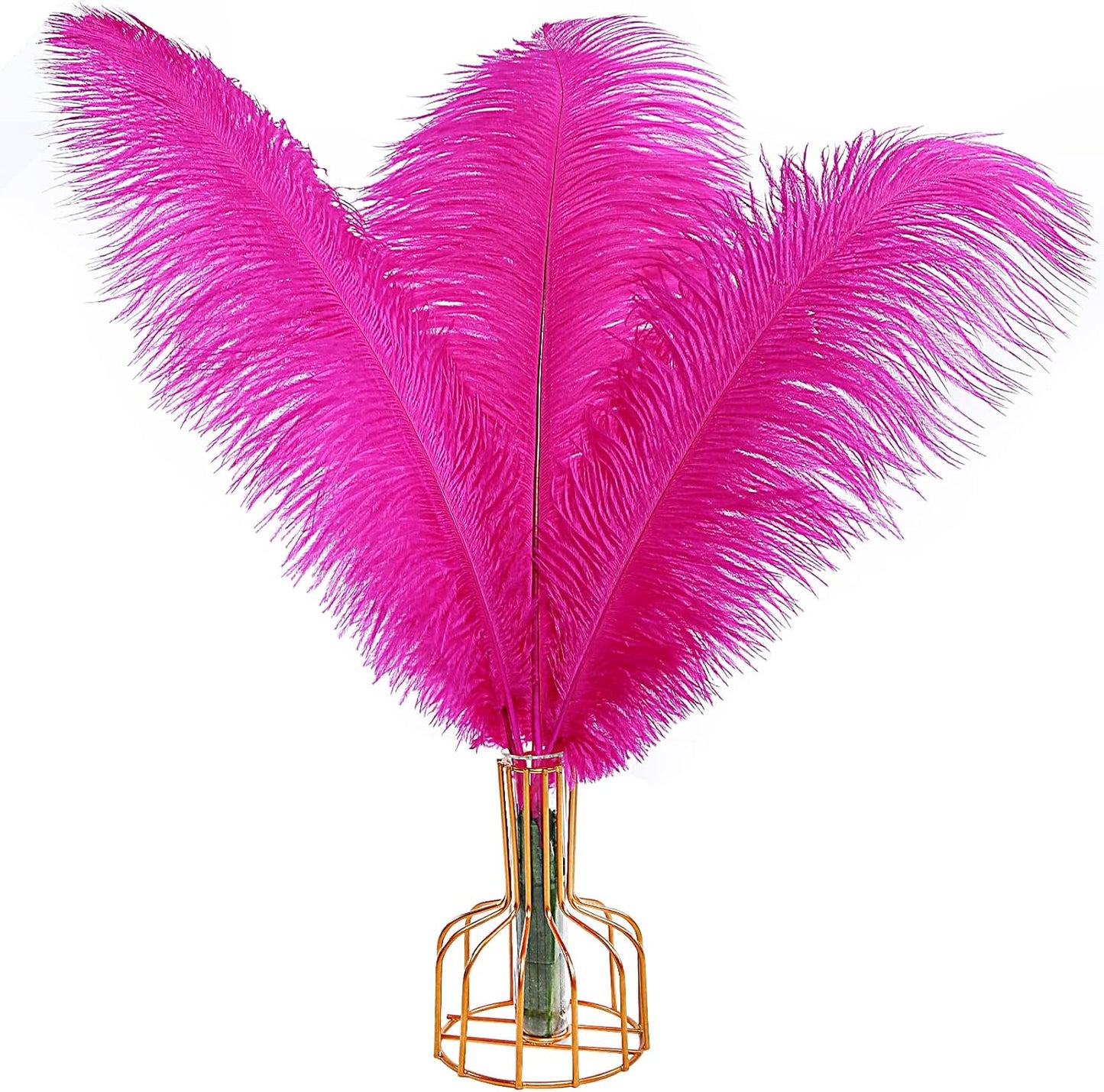 THARAHT Hot Pink Ostrich Feathers 12pcs Large Natural Bulk 20-22Inch 50cm-55cm for Wedding Party Centerpieces Easter Gatsbi and Home Decoration Feathers