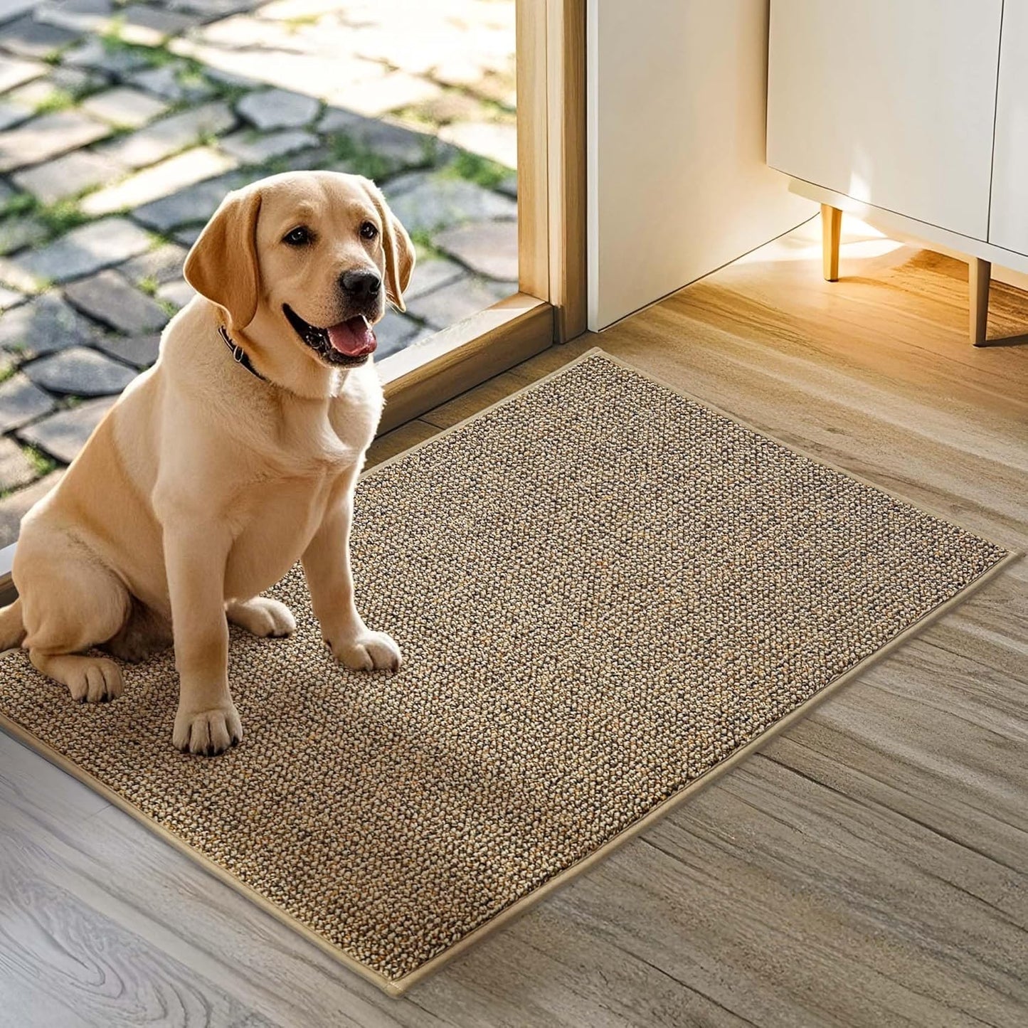 JSEI Dirt Trapper Door Mat 20"x32" Non-Slip Washable Entrance Mat, Dog Doormats, Absorbent & Fade-Resistant Floor Mats, Low Profile Welcome Mats for Entryway, Front Door, and Inside Entrance, Beige