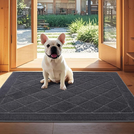 JSEI Dirt Trapper Door Mat 32"x48", Non-Slip Washable Entryway Mats, Dog Door Mat, Stain Resistant and Absorbent Floor Mats, Low Profile Welcome Mat for Front Back Door, Dark Grey